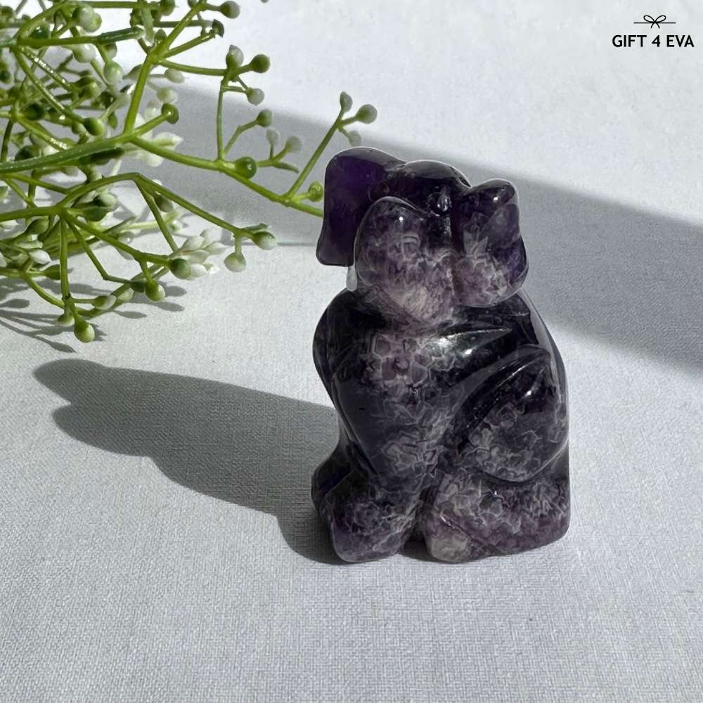 Amethyst Dog
