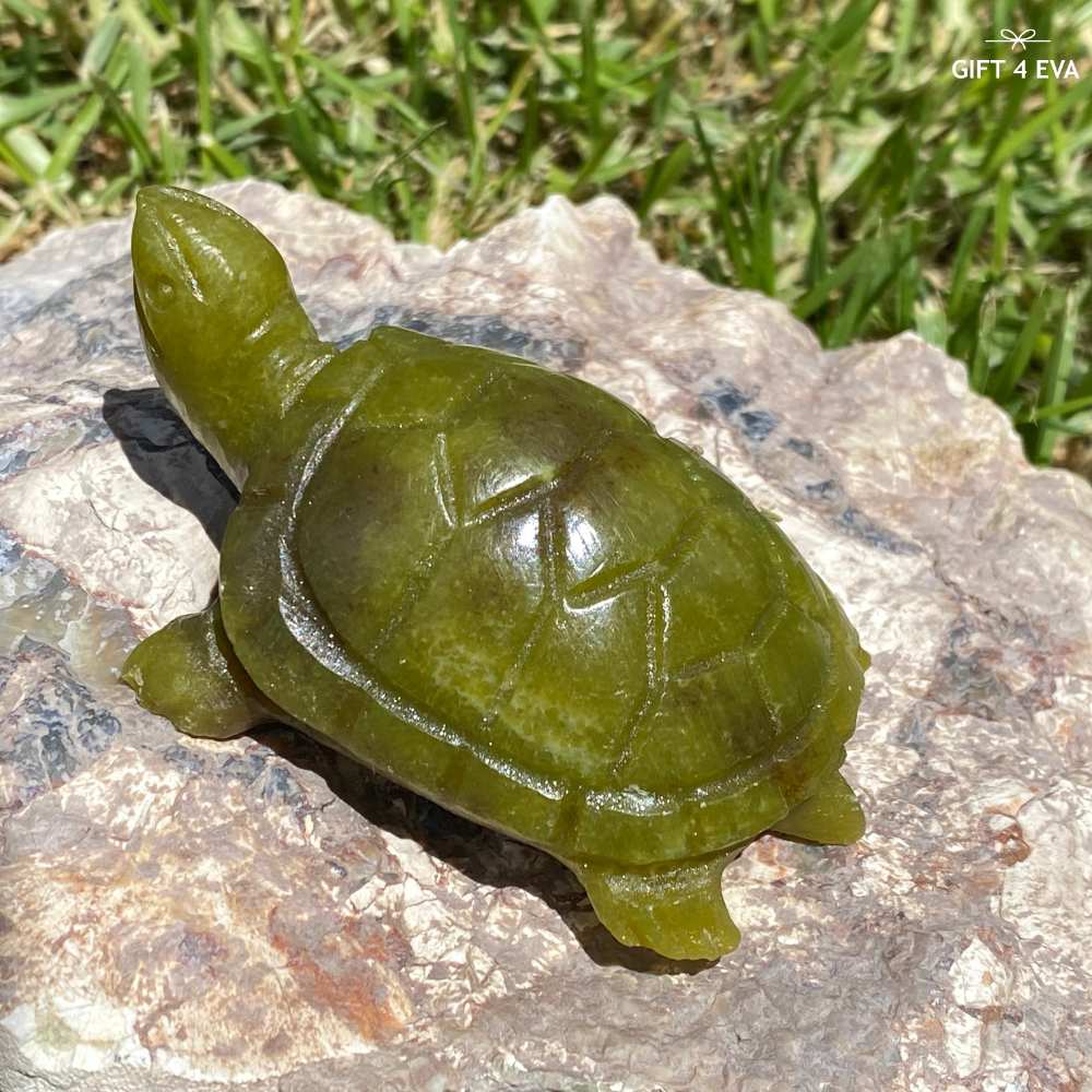Green Jade Turtle