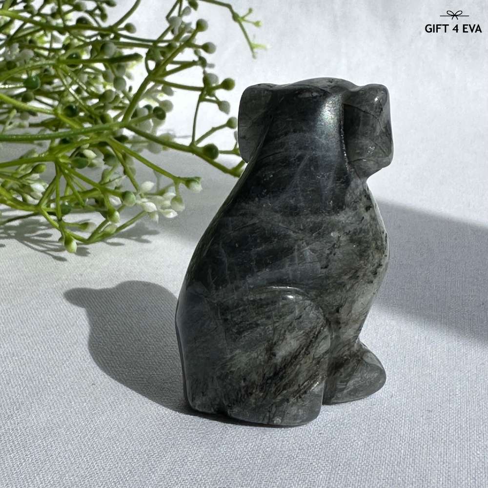 Labradorite Dog