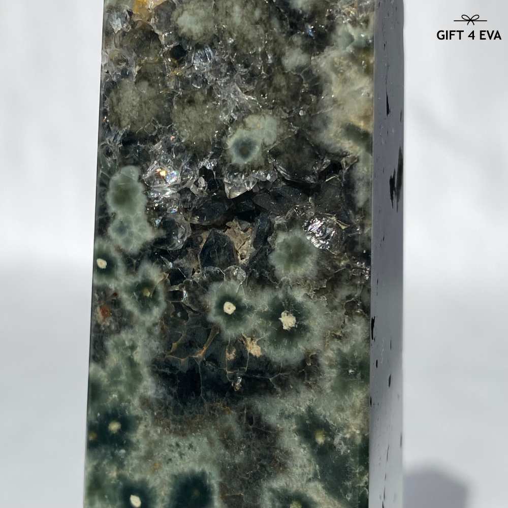 Ocean Jasper Point 110MM